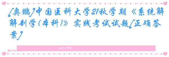 [奥鹏]中国医科大学21秋学期《系统解剖学(本科)》实践考试试题[正确答案]